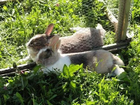 Appartamento S'landhaus