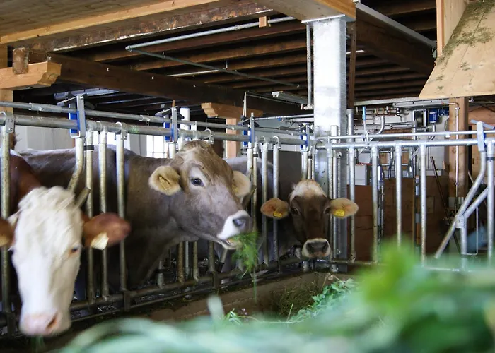 Appartement S'landhaus *