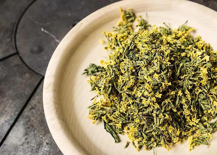 S'landhaus Neustift im Stubaital