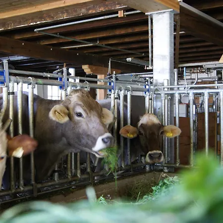 Апартаменты S'landhaus *